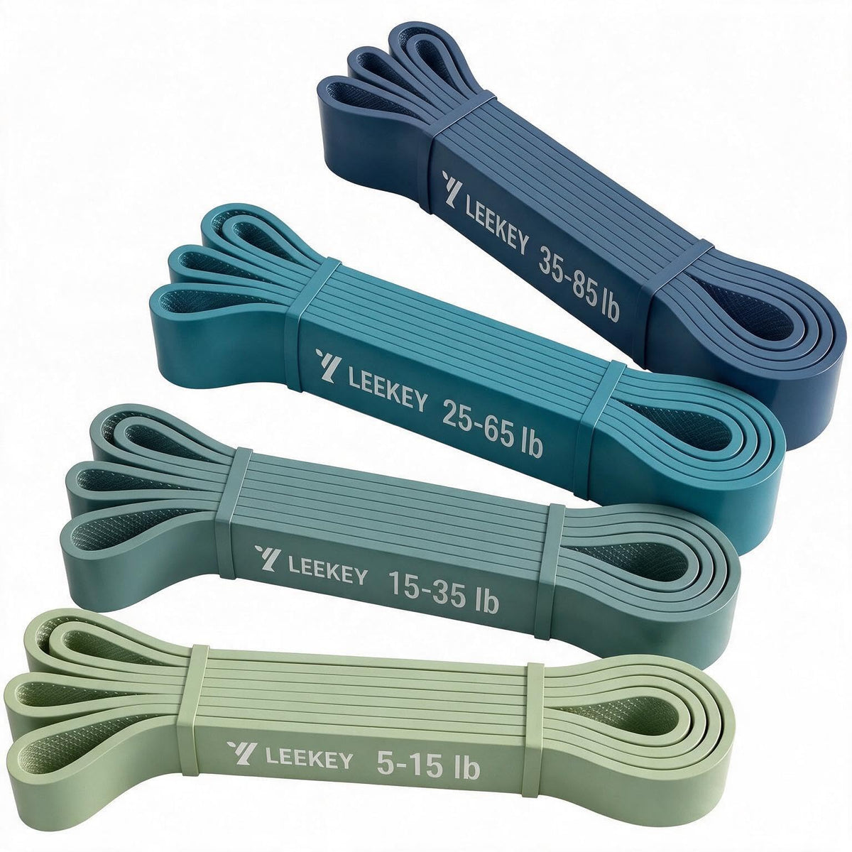 LEEKEY Resistance Bands Set for Pull Up Assistance & Exercise